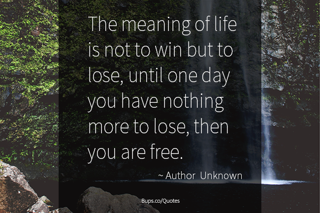 The meaning of life is not to win but to lose, until one day you have nothing more to lose, then you are free - Bappy Golder Quotes - Bups.co.png